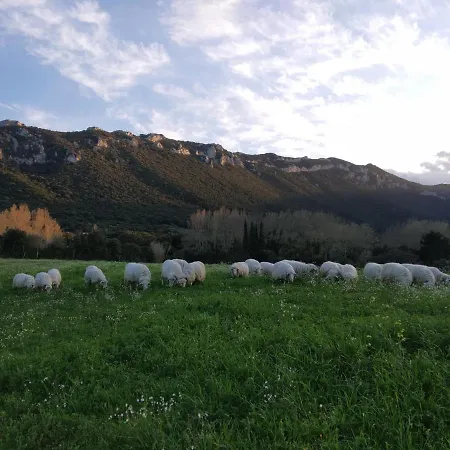 Bed and breakfast Littu